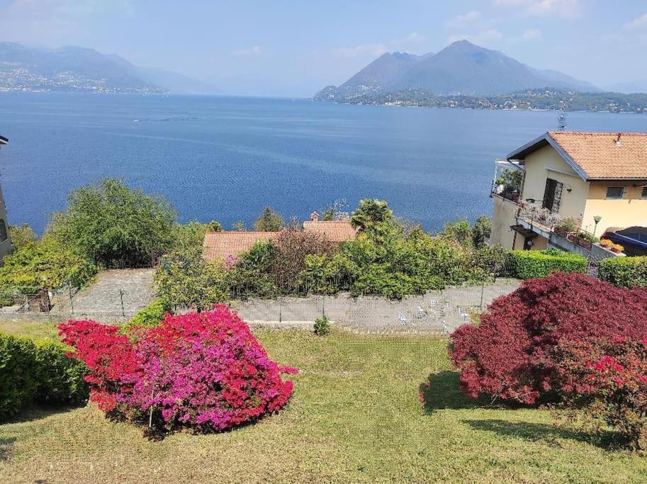 Apartment Vignolo Park